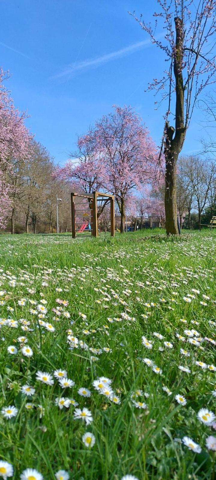 Shanti Ca' Casa Indipendente Con Giardino Lacchiarella Eksteriør bilde
