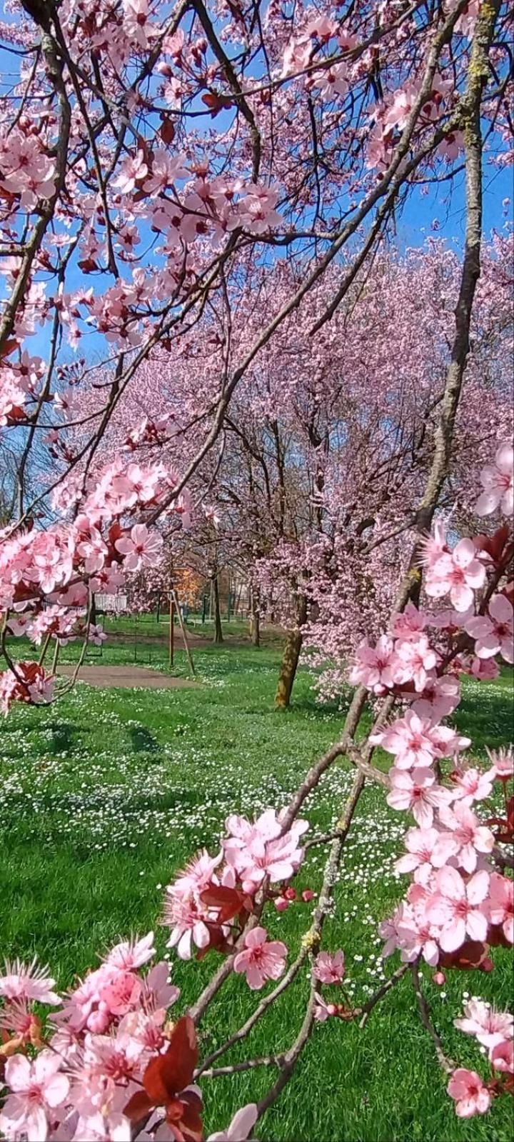 Shanti Ca' Casa Indipendente Con Giardino Lacchiarella Eksteriør bilde